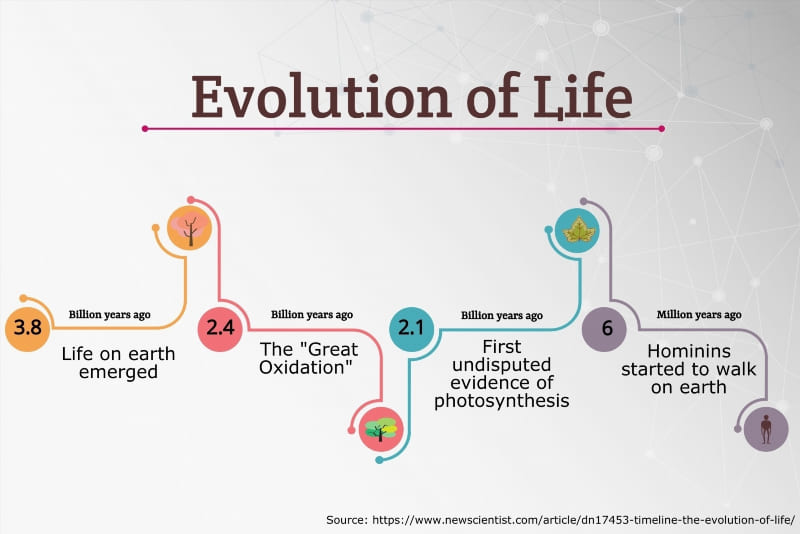 A Timeline of Evolution